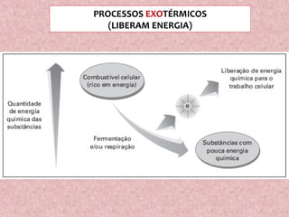 PROCESSOS EXOTÉRMICOS
(LIBERAM ENERGIA)
 