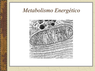 Metabolismo Energético
 