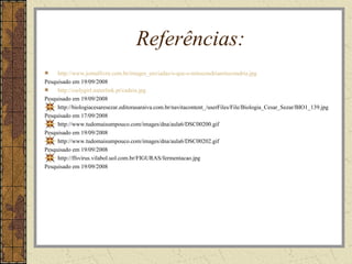 Referências:
http://www.jornallivre.com.br/images_enviadas/o-que-e-mitocondriamitocondria.jpg
Pesquisado em 19/09/2008
http://curlygirl.naturlink.pt/cadeia.jpg
Pesquisado em 19/09/2008
http://biologiacesaresezar.editorasaraiva.com.br/navitacontent_/userFiles/File/Biologia_Cesar_Sezar/BIO1_139.jpg
Pesquisado em 17/09/2008
http://www.tudomaisumpouco.com/images/dna/aula6/DSC00200.gif
Pesquisado em 19/09/2008
http://www.tudomaisumpouco.com/images/dna/aula6/DSC00202.gif
Pesquisado em 19/09/2008
http://ffsvirus.vilabol.uol.com.br/FIGURAS/fermentacao.jpg
Pesquisado em 19/09/2008
 