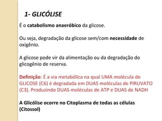 1- GLICÓLISE
É o catabolismo anaeróbico da glicose.
Ou seja, degradação da glicose sem/com necessidade de
oxigênio.
A glicose pode vir da alimentação ou da degradação do
glicogênio de reserva.
Definição: É a via metabólica na qual UMA molécula de
GLICOSE (C6) é degradada em DUAS moléculas de PIRUVATO
(C3). Produzindo DUAS moléculas de ATP e DUAS de NADH
A Glicólise ocorre no Citoplasma de todas as células
(Citossol)
 