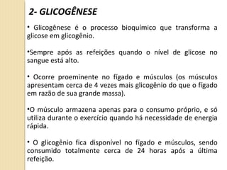 2- GLICOGÊNESE
• Glicogênese é o processo bioquímico que transforma a
glicose em glicogênio.
•Sempre após as refeições quando o nível de glicose no
sangue está alto.
• Ocorre proeminente no fígado e músculos (os músculos
apresentam cerca de 4 vezes mais glicogênio do que o fígado
em razão de sua grande massa).
•O músculo armazena apenas para o consumo próprio, e só
utiliza durante o exercício quando há necessidade de energia
rápida.
• O glicogênio fica disponível no fígado e músculos, sendo
consumido totalmente cerca de 24 horas após a última
refeição.
 