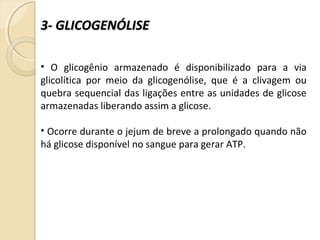 3- GLICOGENÓLISE3- GLICOGENÓLISE
• O glicogênio armazenado é disponibilizado para a via
glicolítica por meio da glicogenólise, que é a clivagem ou
quebra sequencial das ligações entre as unidades de glicose
armazenadas liberando assim a glicose.
• Ocorre durante o jejum de breve a prolongado quando não
há glicose disponível no sangue para gerar ATP.
 