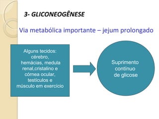 3- GLICONEOGÊNESE
Via metabólica importante – jejum prolongado
Alguns tecidos:
cérebro,
hemácias, medula
renal,cristalino e
córnea ocular,
testículos e
músculo em exercício
Suprimento
contínuo
de glicose
 