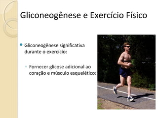 Gliconeogênese e Exercício Físico
 Gliconeogênese significativa
durante o exercício:
◦ Fornecer glicose adicional ao
coração e músculo esquelético:
 