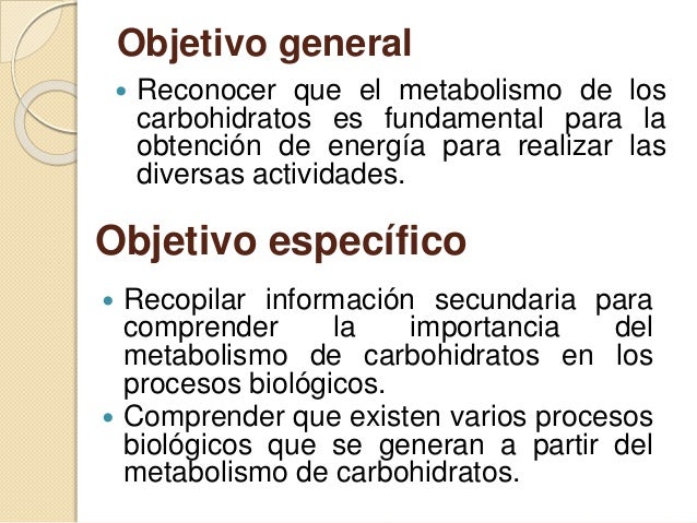 Cinco cuestiones sobre dieta mediterránea película