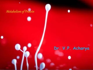Metabolism of Protein
Dr. V.P. Acharya
 
