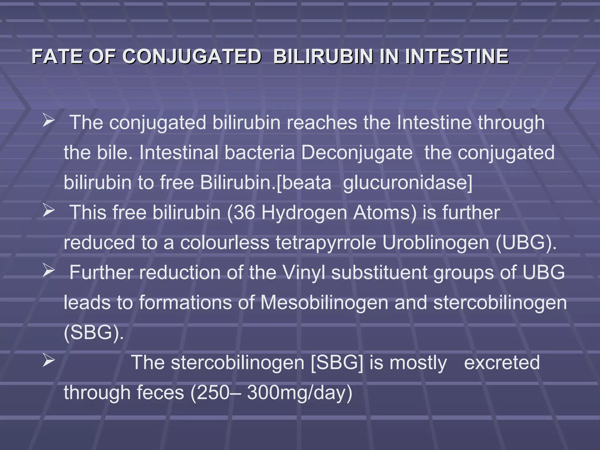 Metabolism of bilurubin | PPT