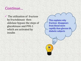 Image showcasing Metabolism_of_disaccharides.ppt