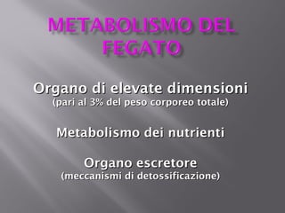 Organo di elevate dimensioni
(pari al 3% del peso corporeo totale)

Metabolismo dei nutrienti
Organo escretore
(meccanismi di detossificazione)

 