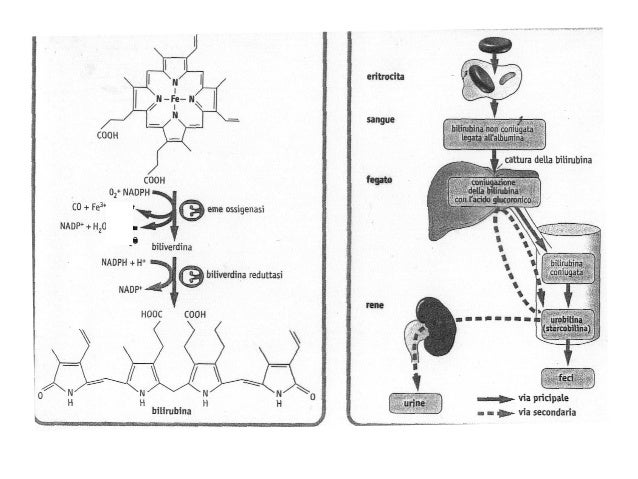Scaricare un modo facile di smettere di bere mr3 per scaricare