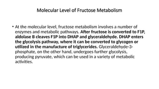 Metabolism of fructose, Galactose.pptx bch | PPTX