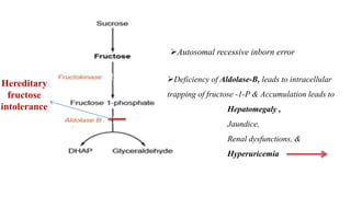 Metabolism of Galactose & fructose .pptx