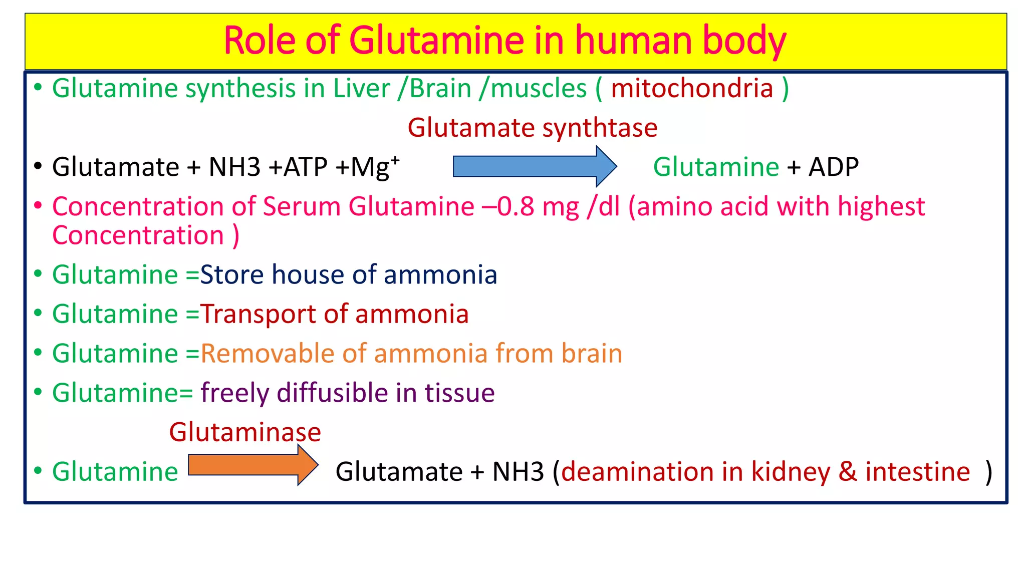 Metabolism of Glutamate ,Aspartate ,Glutamine &Asparagine | PDF