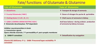 glutamine glutathione glutamate Conversion of to by glutaminase, and its Metabolism of Glutamate ,Aspartate ,Glutamine