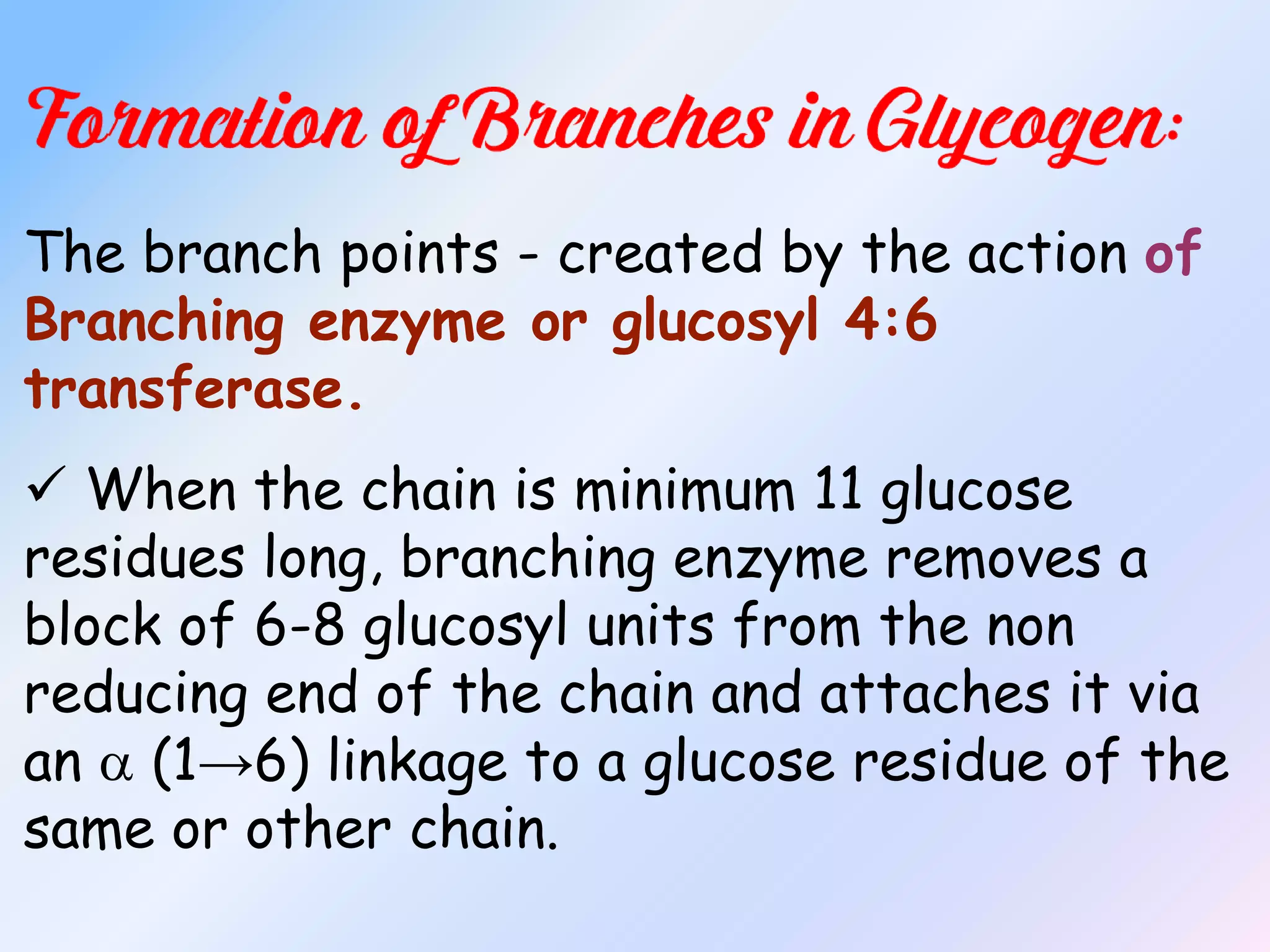 Chain Ranching Metabolism of glycogen | PPSX