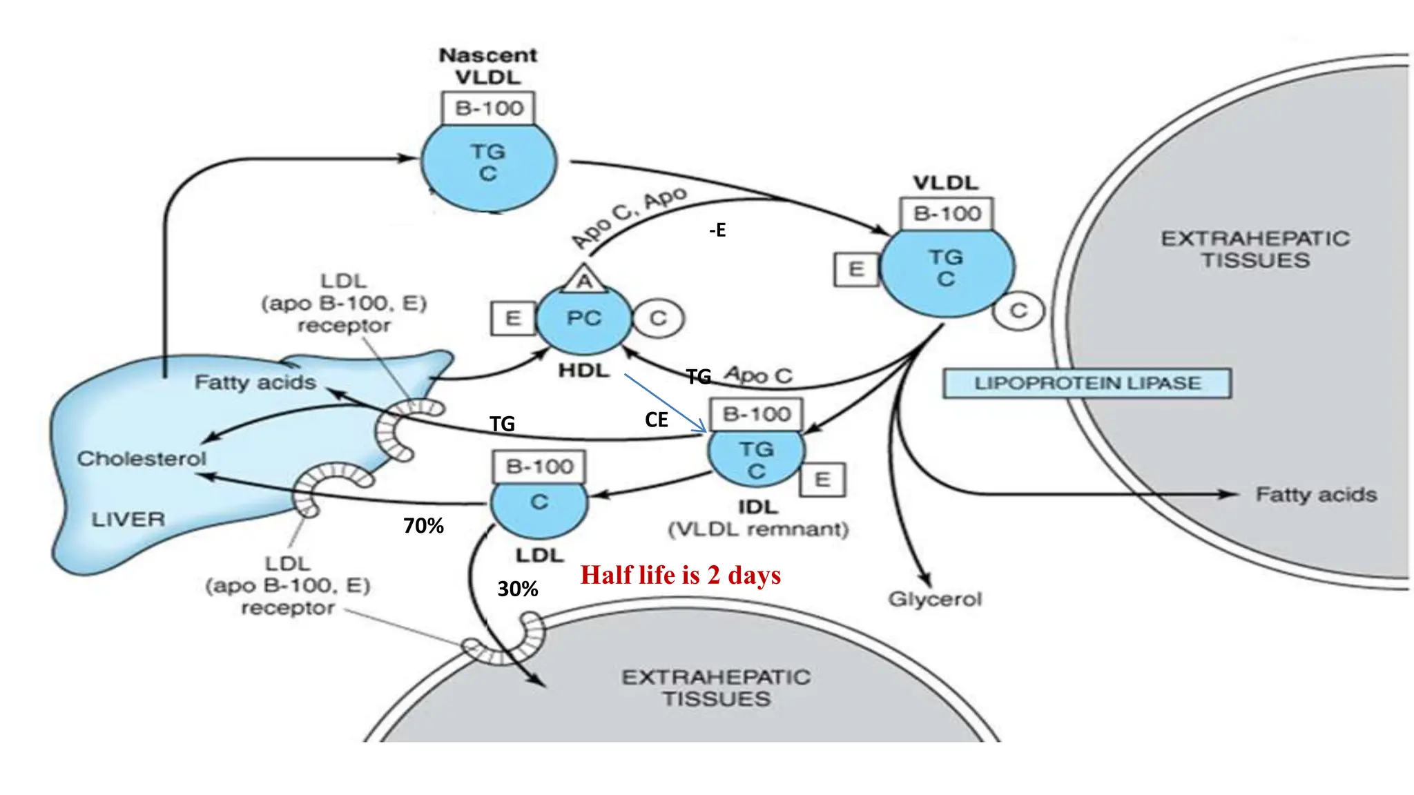 Metabolism of lipoproteins & its disorders(Chylomicron & VLDL & LDL).pptx