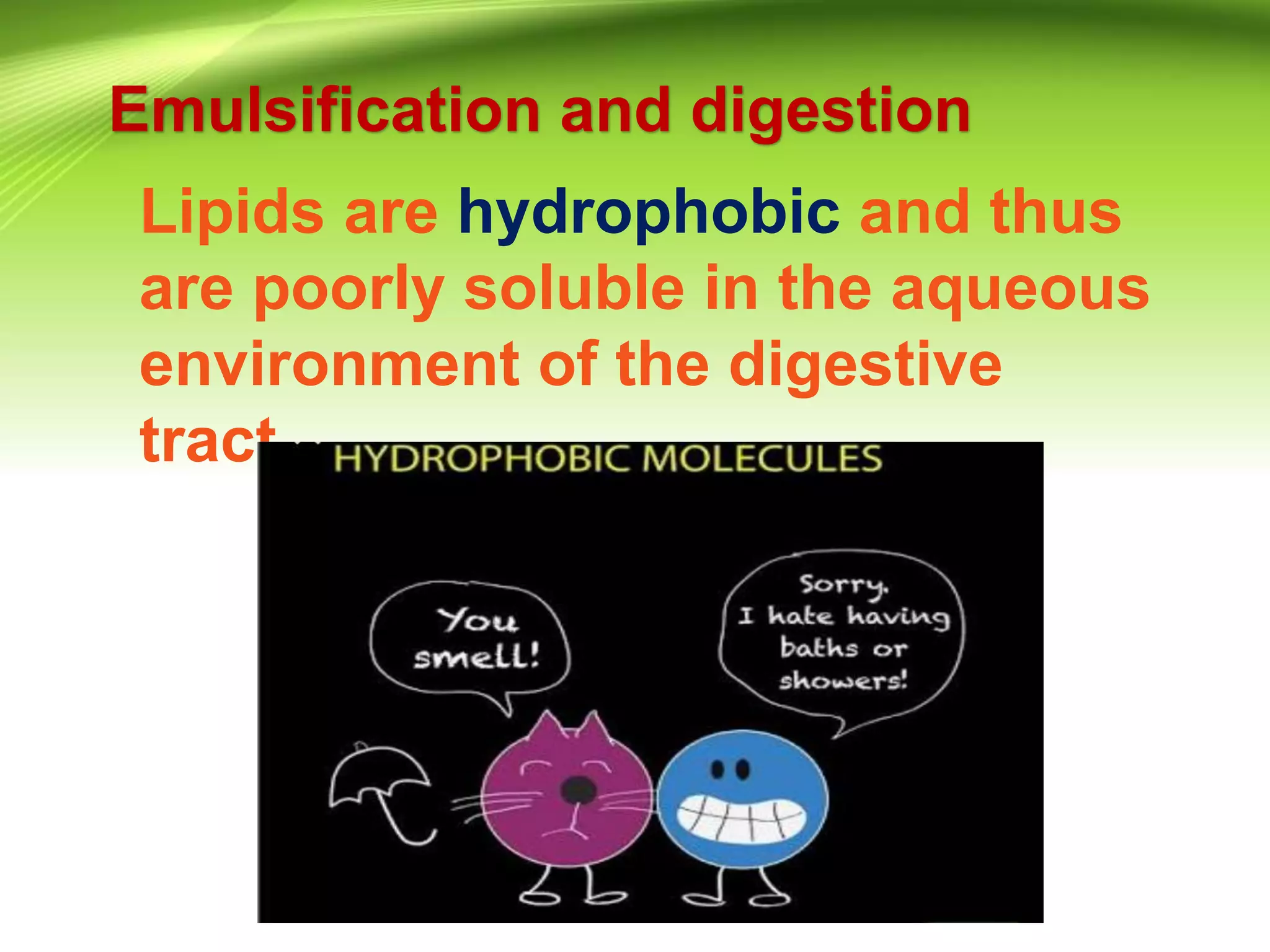 Metabolism of lipid | PPTX