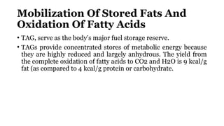 Tag Moblization Metabolism of Lipids.pptx, biochemistry | PPTX