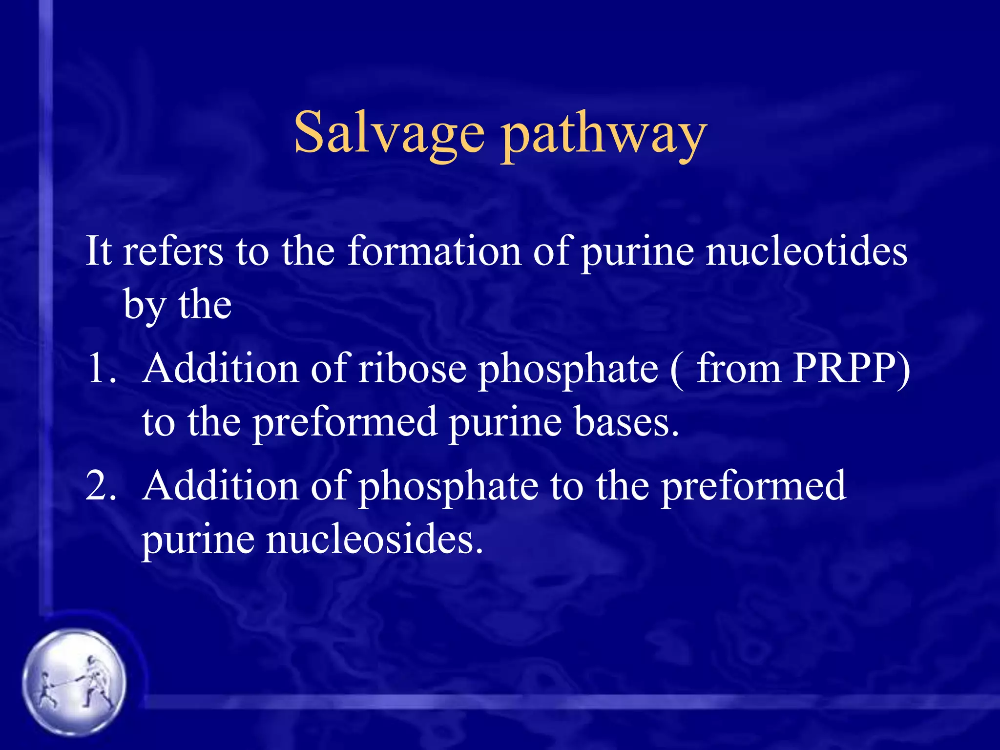 Salvage pathway
It refers to the formation of purine nucleotides
by the
1. Addition of ribose phosphate ( from PRPP)
to the preformed purine bases.
2. Addition of phosphate to the preformed
purine nucleosides.

 