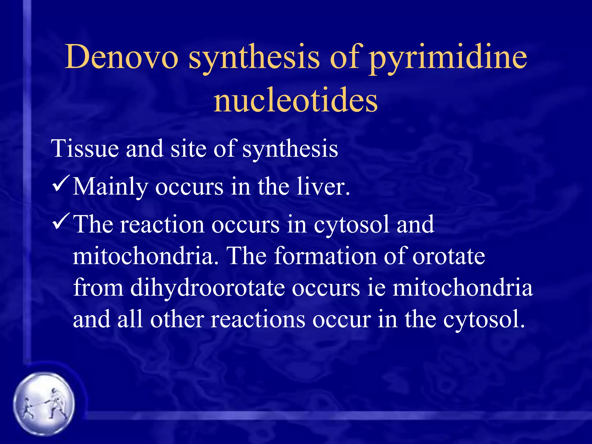 Denovo synthesis of pyrimidine
nucleotides
Tissue and site of synthesis
Mainly occurs in the liver.
The reaction occurs in cytosol and
mitochondria. The formation of orotate
from dihydroorotate occurs ie mitochondria
and all other reactions occur in the cytosol.

 