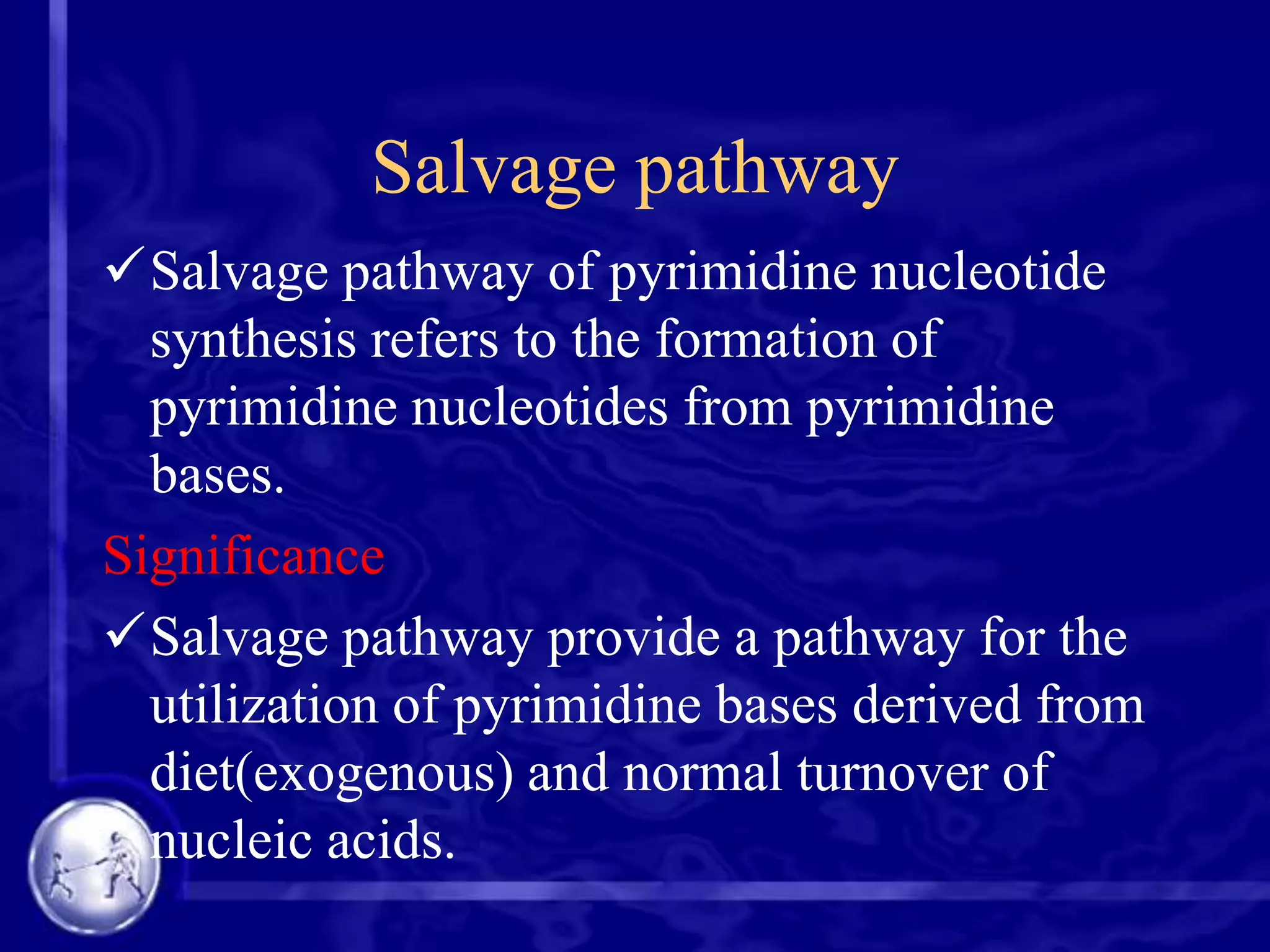 Salvage pathway
Salvage pathway of pyrimidine nucleotide
synthesis refers to the formation of
pyrimidine nucleotides from pyrimidine
bases.
Significance
Salvage pathway provide a pathway for the
utilization of pyrimidine bases derived from
diet(exogenous) and normal turnover of
nucleic acids.

 