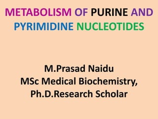 METABOLISM OF PURINE AND
PYRIMIDINE NUCLEOTIDES
M.Prasad Naidu
MSc Medical Biochemistry,
Ph.D.Research Scholar
 