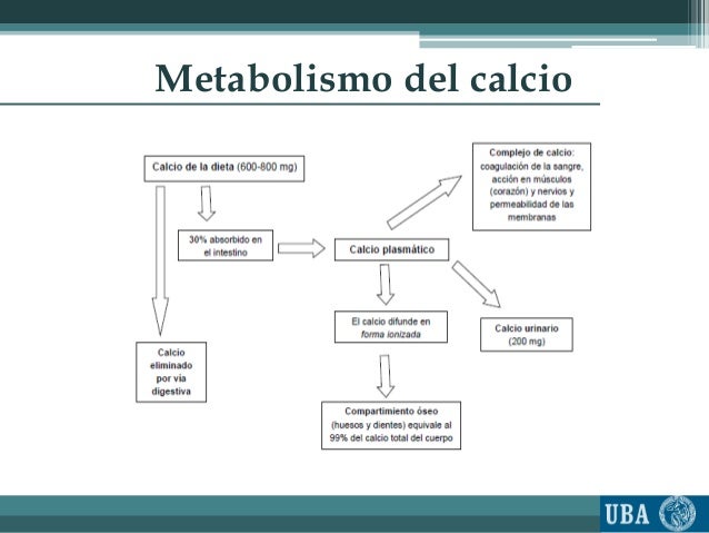 recetas metabolismo acelerado seguir en este camino