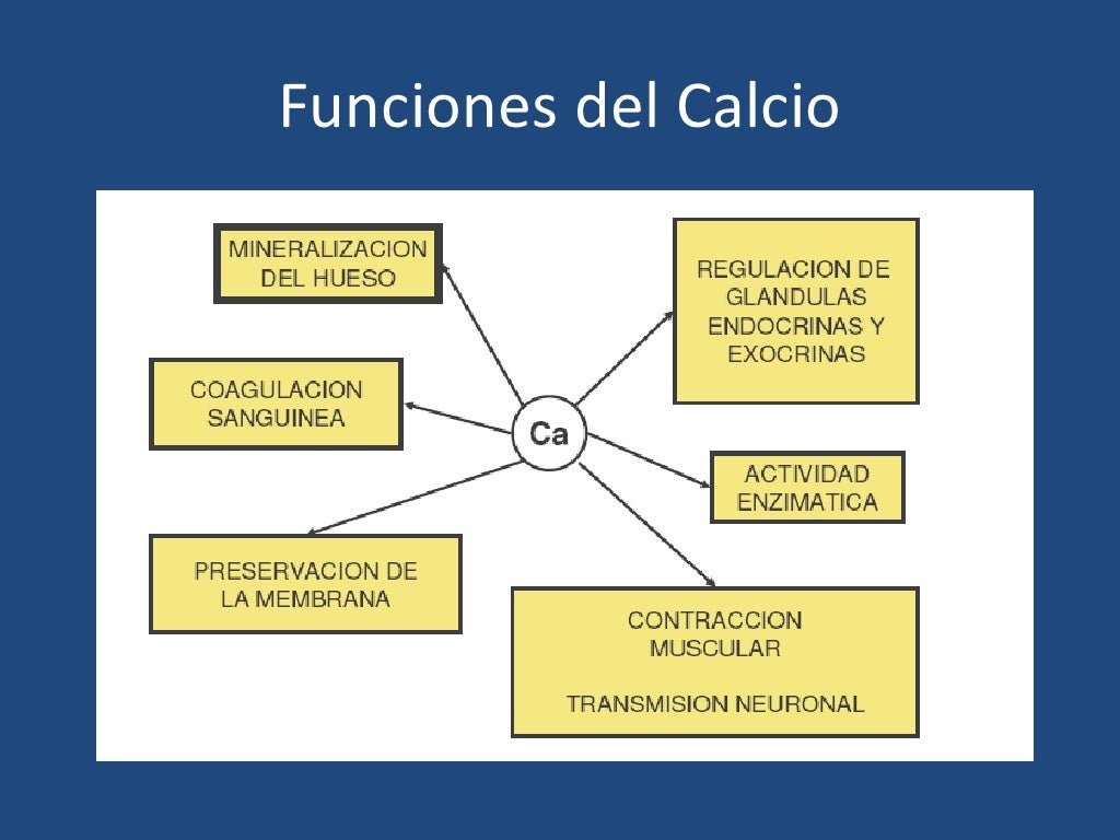 Aprender cómo curé mi esquema metabolismo celular