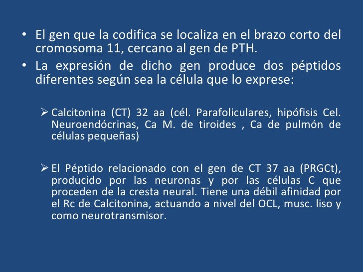 Breve guía de atp metabolismo
