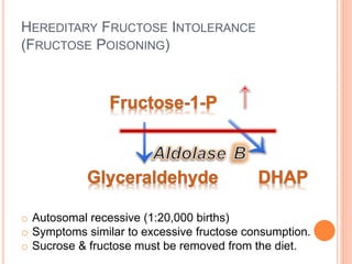 Metabolism of Other Hexoses | PPTX