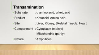 METABOLISM OF PROTEIN AND AMINI ACID FOR STUDENTS.pdf