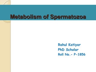 Metabolism of SpermatozoaMetabolism of Spermatozoa
Rahul Katiyar
PhD Scholar
Roll No.- P-1856
 