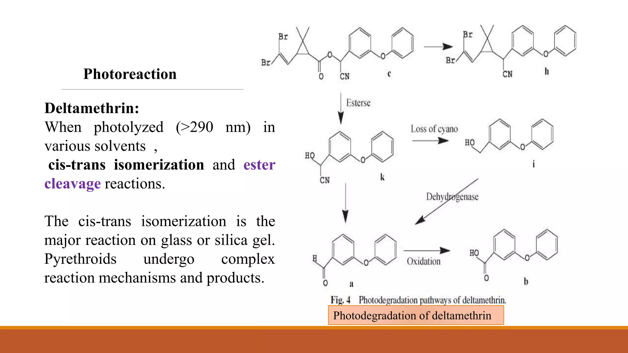 Deltamethrin:
When photolyzed (>290 nm) in
various solvents ,
cis-trans isomerization and ester
cleavage reactions.
The cis-trans isomerization is the
major reaction on glass or silica gel.
Pyrethroids undergo complex
reaction mechanisms and products.
Photoreaction
Photodegradation of deltamethrin
 