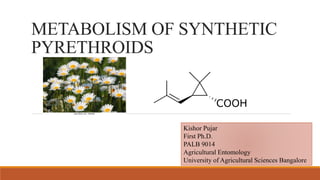 METABOLISM OF SYNTHETIC
PYRETHROIDS
Kishor Pujar
First Ph.D.
PALB 9014
Agricultural Entomology
University of Agricultural Sciences Bangalore
 