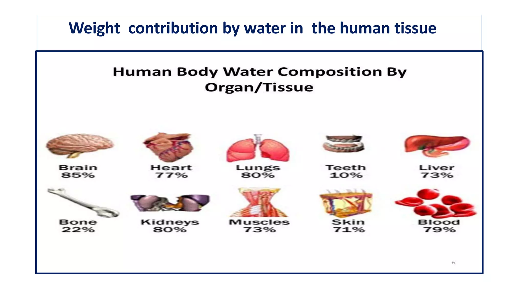 Water Muscle Metabolism of water and its clinical significance | PDF