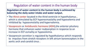 Metabolism of water and its clinical significance | PDF