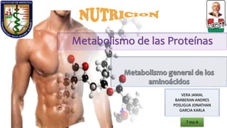 Metabolismo de las Proteínas
VERA JAMAL
BARBERAN ANDRES
POSLIGUA JONATHAN
GARCIA KARLA
7 mo A
 