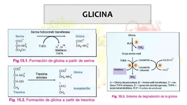 Tu tienes Booster de metabolismo ?