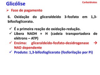 Carboidratos
Glicólise
 Fase de pagamento
6. Oxidação do gliceraldeído 3-fosfato em 1,3-
bifosfoglicerato.
 É a primeira reação de oxidação-redução.
 Libera NADH + H (cadeia transportadora de
elétrons – ATP)
 Enzima: gliceraldeído-fosfato-desidrogenase 
NAD dependente
 Produto: 1,3-bifosfoglicerato (fosforilação por Pi)
 