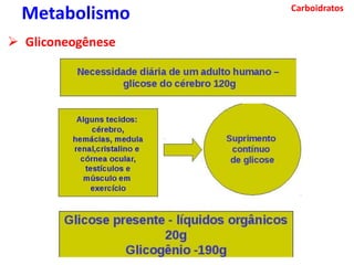 Carboidratos
Metabolismo
 Gliconeogênese
 