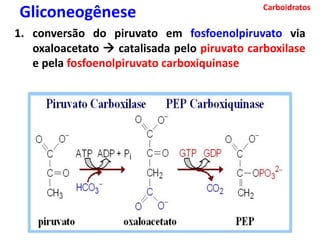 Carboidratos
Gliconeogênese
1. conversão do piruvato em fosfoenolpiruvato via
oxaloacetato  catalisada pelo piruvato carboxilase
e pela fosfoenolpiruvato carboxiquinase
 