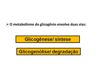  O metabolismo do glicogênio envolve duas vias:
 