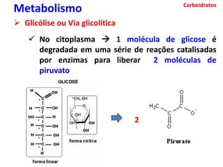 Carboidratos
Metabolismo
 Glicólise ou Via glicolítica
 No citoplasma  1 molécula de glicose é
degradada em uma série de reações catalisadas
por enzimas para liberar 2 moléculas de
piruvato

2
 