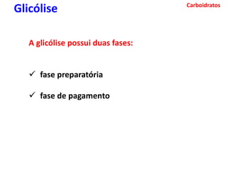 Carboidratos
Glicólise
A glicólise possui duas fases:
 fase preparatória
 fase de pagamento
 