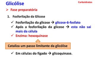 Carboidratos
Glicólise
 Fase preparatória
1. Fosforilação da Glicose
 Fosforilação da glicose  glicose-6-fosfato
 Após a fosforilação da glicose  esta não sai
mais da célula
 Enzima: hexoquinase
 Em células do fígado  glicoquinase.
Cataliza um passo limitante da glicólise
 