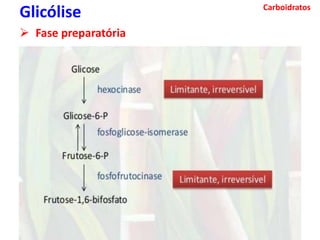 Carboidratos
Glicólise
 Fase preparatória
 