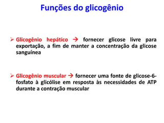  Glicogênio hepático  fornecer glicose livre para
exportação, a fim de manter a concentração da glicose
sanguínea
 Glicogênio muscular  fornecer uma fonte de glicose-6-
fosfato à glicólise em resposta às necessidades de ATP
durante a contração muscular
Funções do glicogênio
 