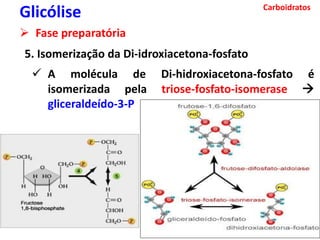 Carboidratos
Glicólise
 Fase preparatória
5. Isomerização da Di-idroxiacetona-fosfato
 A molécula de Di-hidroxiacetona-fosfato é
isomerizada pela triose-fosfato-isomerase 
gliceraldeído-3-P
 