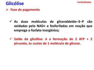 Carboidratos
Glicólise
 Fase de pagamento
 As duas moléculas de gliceraldeído−3−P são
oxidadas pelo NAD+ e fosforiladas em reação que
emprega o fosfato inorgânico;
 Saldo da glicólise: é a formação de 2 ATP + 2
piruvato, às custas de 1 molécula de glicose.
 