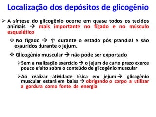  A síntese do glicogênio ocorre em quase todos os tecidos
animais  mais importante no fígado e no músculo
esquelético
 No fígado  ↑ durante o estado pós prandial e são
exauridos durante o jejum.
 Glicogênio muscular  não pode ser exportado
Sem a realização exercício  o jejum de curto prazo exerce
pouco efeito sobre o conteúdo de glicogênio muscular
Ao realizar atividade física em jejum  glicogênio
muscular estará em baixa  obrigando o corpo a utilizar
a gordura como fonte de energia
Localização dos depósitos de glicogênio
 